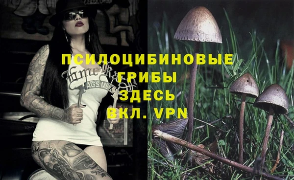 spice Пересвет