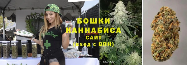 индика Тихорецк