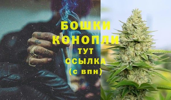 spice Пересвет