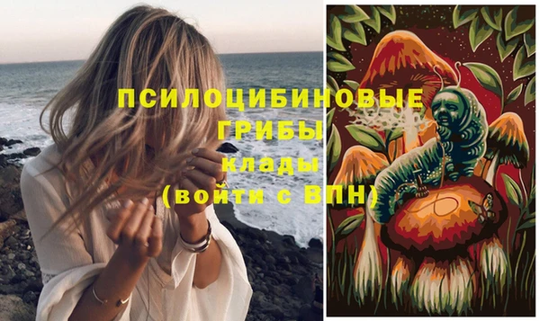 spice Пересвет