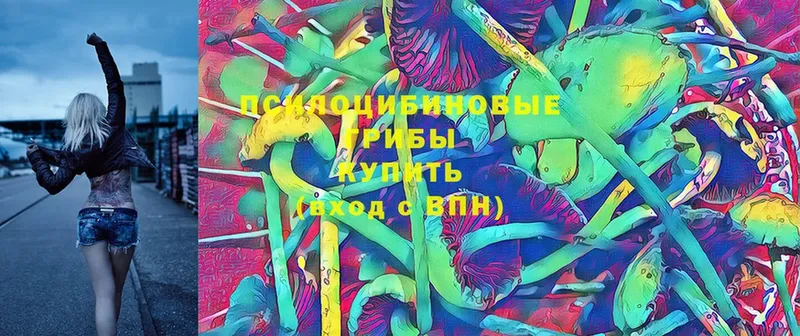 даркнет сайт  Ак-Довурак  Галлюциногенные грибы Psilocybe 